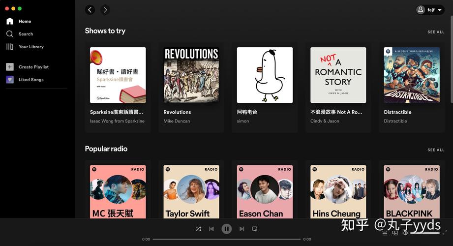 spotify. om,Extensive Music Library