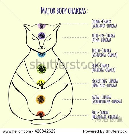 name of chakras to call them out meditating om,Name of Chakras to Call Them Out Meditating Om