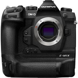 olympus om-d e-m1x mirrorless camera,Olympus OM-D E-M1X Mirrorless Camera: A Comprehensive Overview