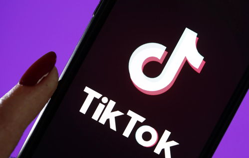 tiktok. om,What is TikTok?