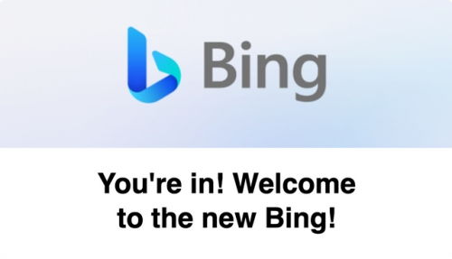 bing.om,Understanding the .bin File Format