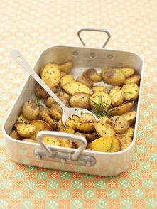 baked potatoes om convection turbo oben,Baked Potatoes on Convection Turbo Oven: A Detailed Guide