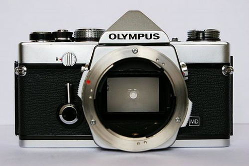 are olympus om 1 worth anything,Are Olympus OM-1 Worth Anything?